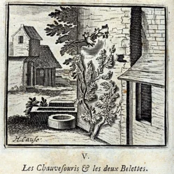 The Bat and the Two Weasels. Fables by Jean de La Fontaine. Illustration by François Chauveau. Edition of 1728