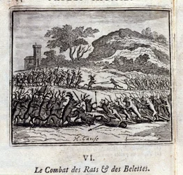 The Battle of Rats and Weasels (Illustration by François Chauveau)