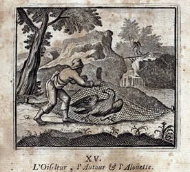 The Birdbird the Around and the Alouette (Illustration by François Chauveau)