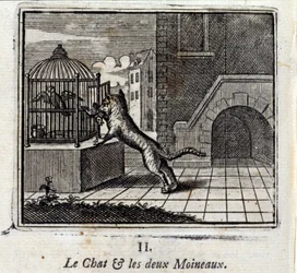 The Cat and the Two Sparrows