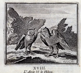 The Eagle and the Owl