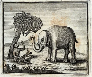 The Elephant and the Monkey of Jupiter. Fables by Jean de La Fontaine. Illustration by François Chauveau. Edition of 1728.
