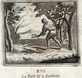 The Forest and the Woodcutter