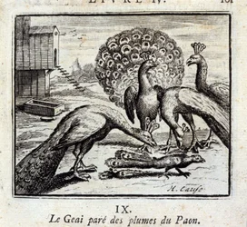 The Jay adorns himself with peacock feathers. Fables by Jean de La Fontaine (1621-95). Illustration by François Chauveau (1613-1676). Edition of 1728.