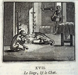 The Monkey and the Cat