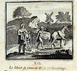 The Mullet bragging about his genealogy. Fables by Jean de La Fontaine (1621-95). Illustration by François Chauveau (1613-1676). Edition of 1728