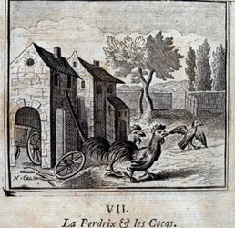 The Partridge and the Cocks. Fables by Jean de La Fontaine (1621-95). Illustration by François Chauveau (1613-1676). Edition of 1728.