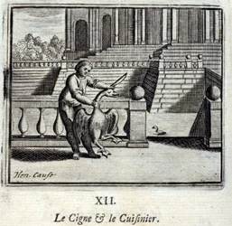 The Swan and the Cook