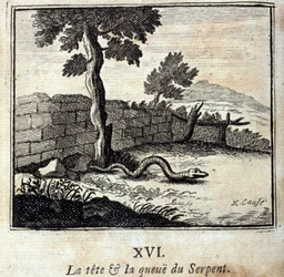 The head and tail of the snake. Fables by Jean de La Fontaine (1621-95). Illustration by François Chauveau (1613-1676). Edition of 1728.