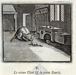 The Old Cat and the Young Mouse