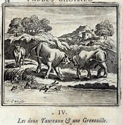 The Two Bulls and a Frog