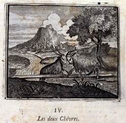 The two goats (Illustration by François Chauveau)
