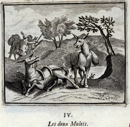 The Two Mules