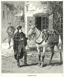Hungarian Pedlar