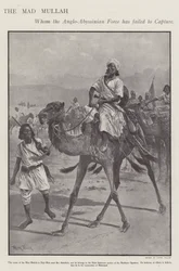 Mohammed Abdullah Hassan, the 
