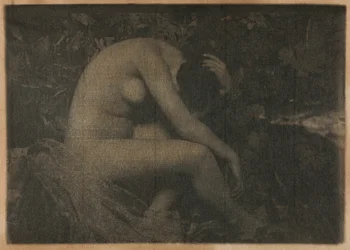 The Cicada