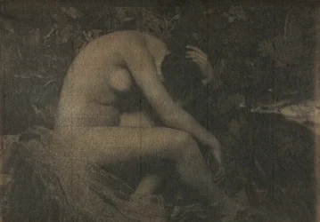 The Cicada, 1898