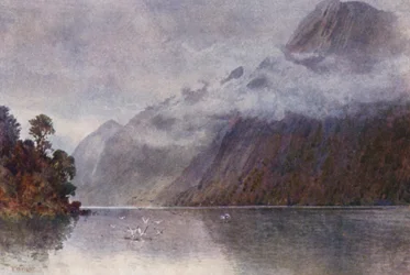 In Milford Sound
