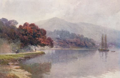 New Zealand: Pohutukawa in Bloom, Whangaroa Harbour