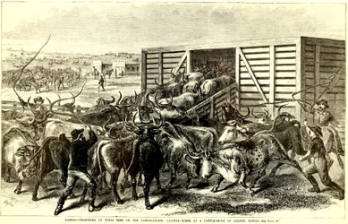 Cattle Chute in Abilene, Kansas, c. 1871