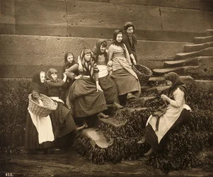 Women Waiting for the Day