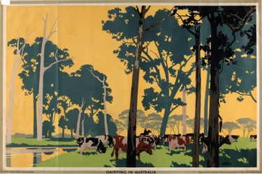 Dairying in Australia, from the series 