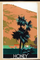 Honey, from the series 