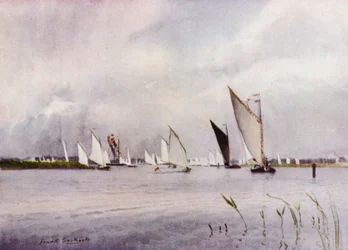 Norfolk Broads: Regatta at Hickling