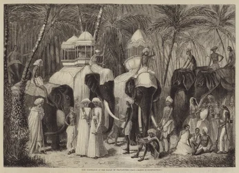 The Elephants of the Rajah of Travancore