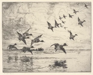 The Alarm P. 111 Pub. St.