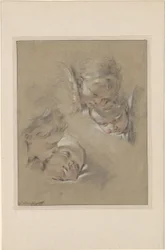 Four Heads of Cherubim