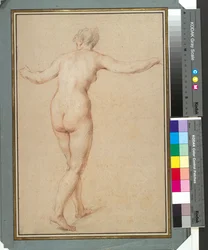 Standing Female Nude Seen from Behind (c.1722)