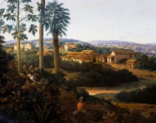 Serinhaem village in Brazil or The home of a sugar cane planter in Brazil