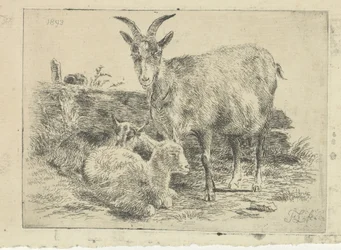 Goat with Young
