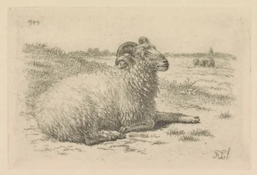 Lying Ram in a Meadow