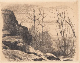 Test Plate: Landscape with Rocks and Trees