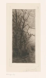 Trees by the Water