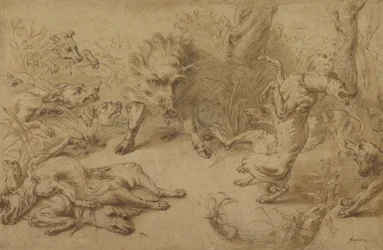 A Wild Boar at Bay