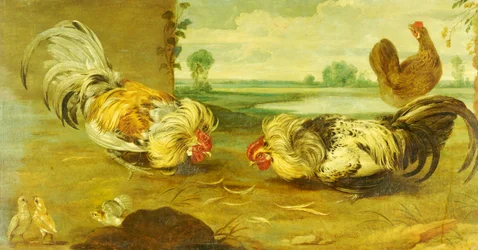 A Cock Fight