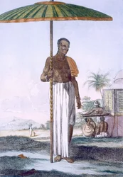 Porter of the Ouriah Caste, from 