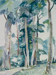 Forest Scene