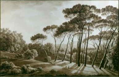 The Pine Trees of the Villa Doria Pamphili