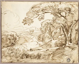 Panoramic Landscape