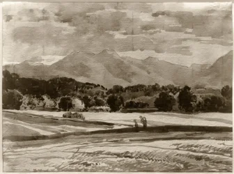 Foothill Landscape