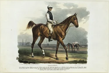 Dagobert