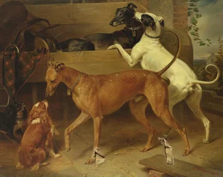 Krugers Dogs