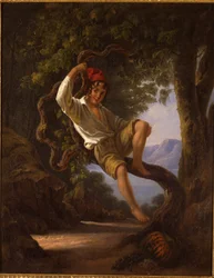 A Young Boy Climbing a Tree