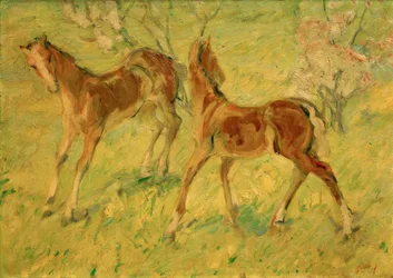 Foals in the Meadow (Jumping Foals)