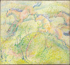 Jumping Horses