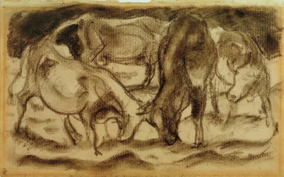 Fighting Cows